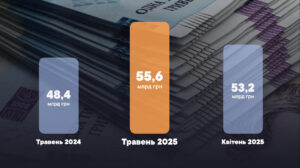 Надходження митних платежів значно зросли: основні бюджетоформуючі товари