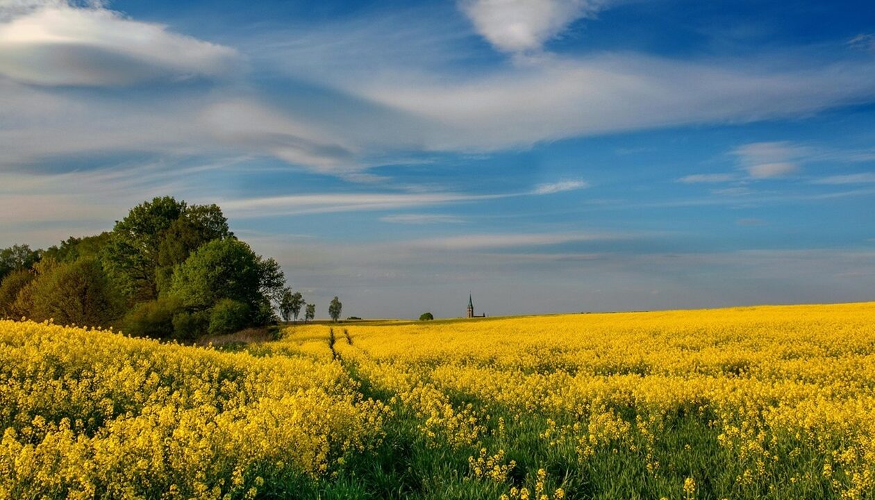 Гороскоп для всіх знаків зодіаку на 9 липня 2025 року