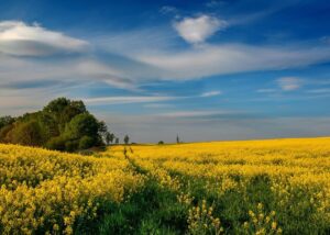 Гороскоп для всіх знаків зодіаку на 9 липня 2025 року