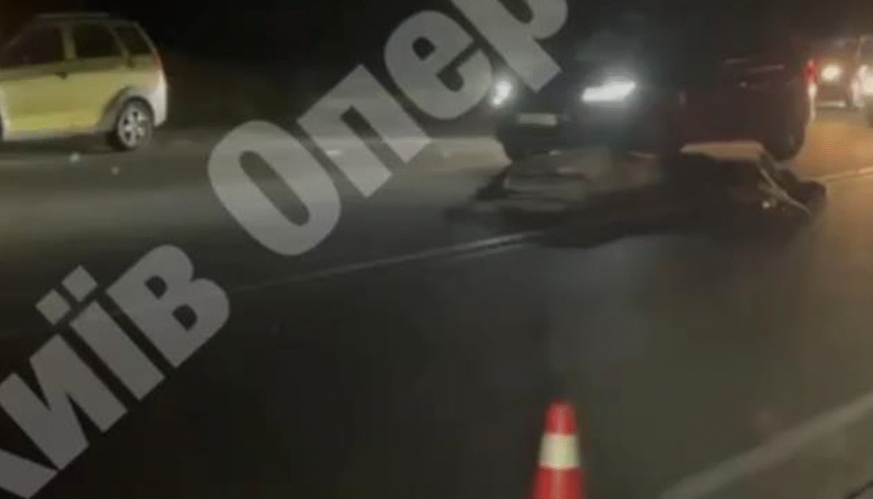 Під Києвом авто збило лося