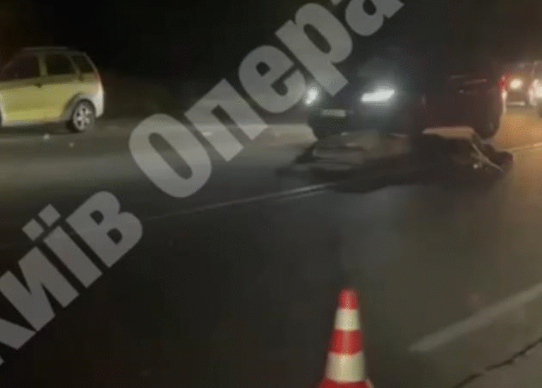 Під Києвом авто збило лося