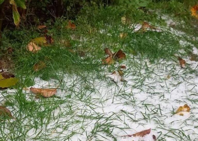 Під Києвом випав перший сніг - соцмережі