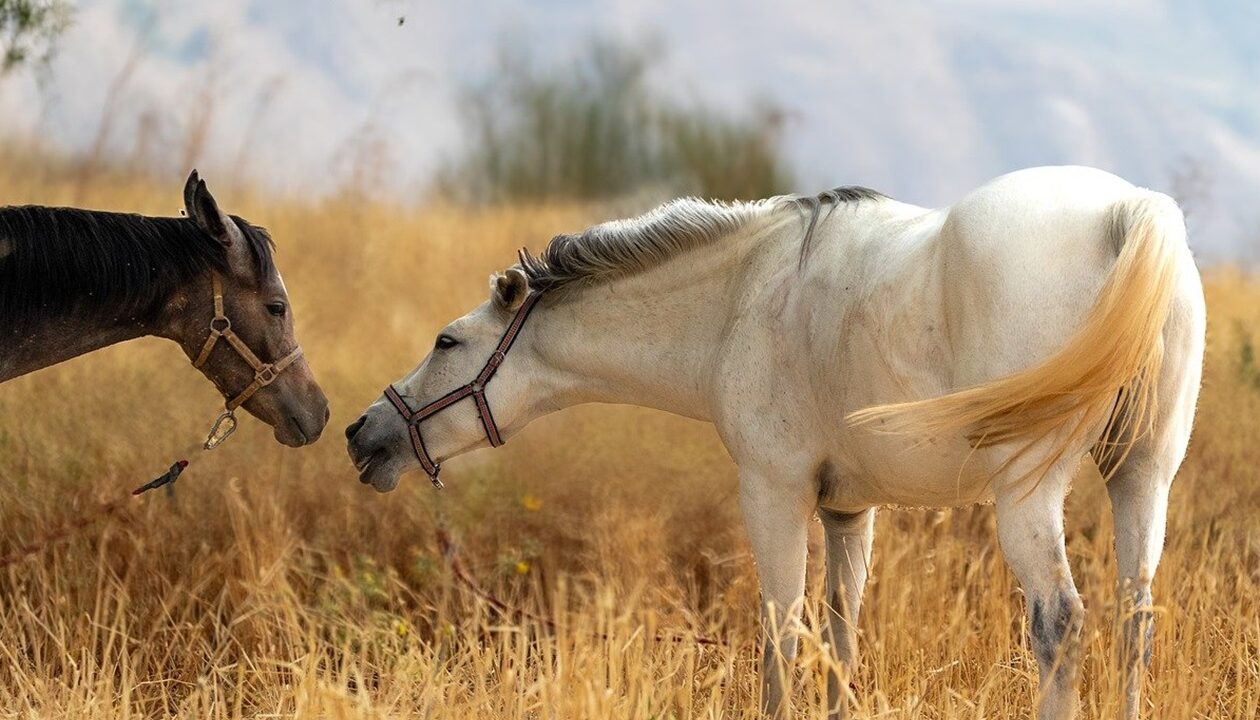 Гороскоп для всіх знаків зодіаку на 21 жовтня 2025 року