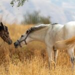 Гороскоп для всіх знаків зодіаку на 21 жовтня 2025 року