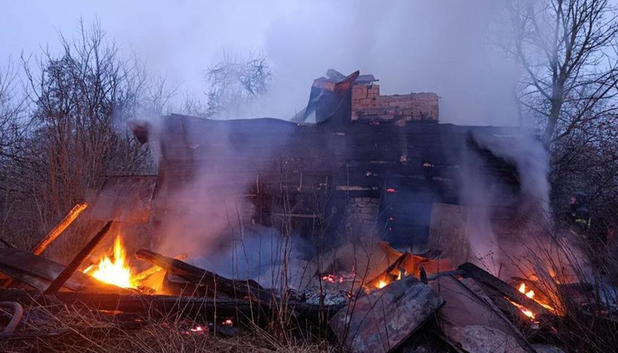 Росіяни обстріляли ферму на Чернігівщині: загинули корови