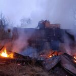 Росіяни обстріляли ферму на Чернігівщині: загинули корови