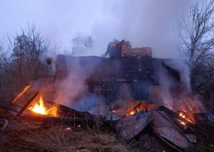 Росіяни обстріляли ферму на Чернігівщині: загинули корови