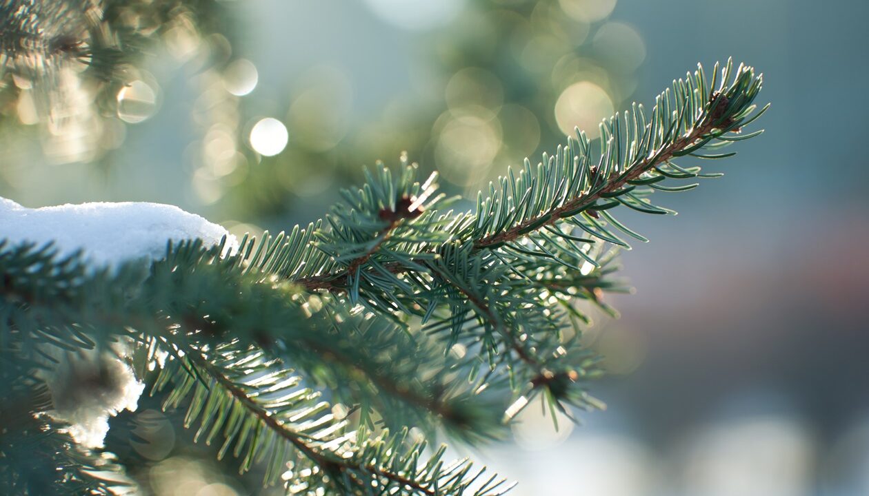 Синоптики розповіли про погоду у новорічну ніч в Україні