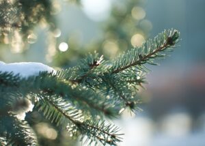 Синоптики розповіли про погоду у новорічну ніч в Україні