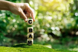 Без фінансування декарбонізації Україна втратить свою промисловість - Центр екології та розвитку нових технологій