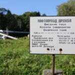 Орбан буде в екстазі? ЄС допоможе Україні відновити "Дружбу" для транзиту російської нафти