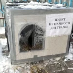 Психотерапевт назвав неочікувану рису українців, яку відкрила війна