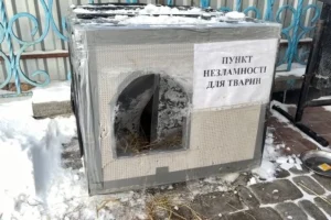 Психотерапевт назвав неочікувану рису українців, яку відкрила війна