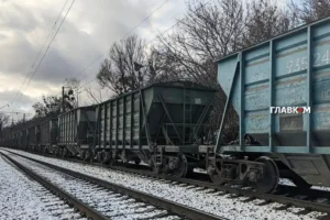 Дефіцитні вантажні вагони будуть списувати не за їх станом, а формально за віком – рішення Верховного суду