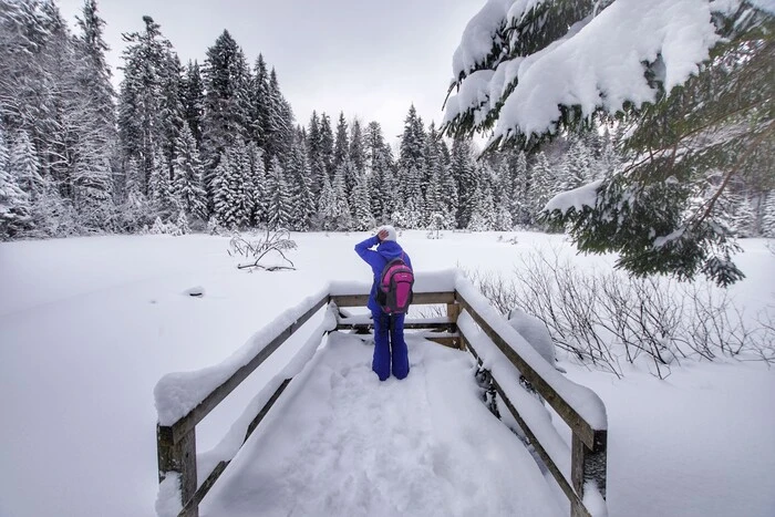 Надходження турзбору зросли за рік на третину: названо регіони-лідери