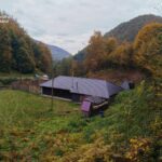 Лісничий з Закарпаття збудував маєток на самовільно захопленій ділянці