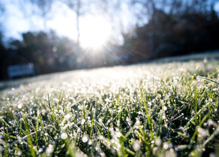 В Україну повертаються заморозки і мокрий сніг