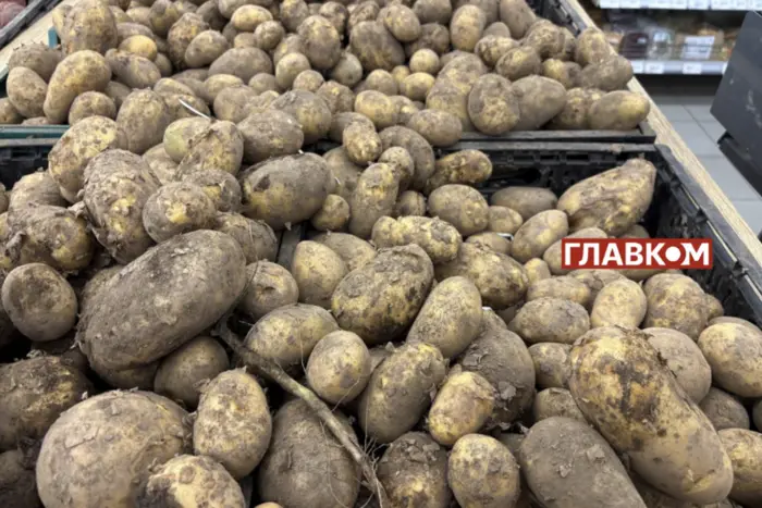 Ціни на картоплю в Україні падають: експертка пояснила причину