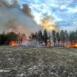 Лісові пожежі вирують у чотирьох областях - ДСНС