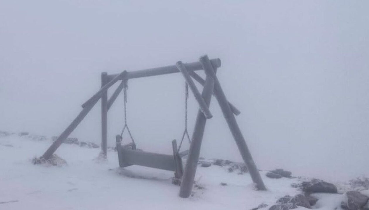 У Карпатах зимова погода: випав сніг і вдарив мороз