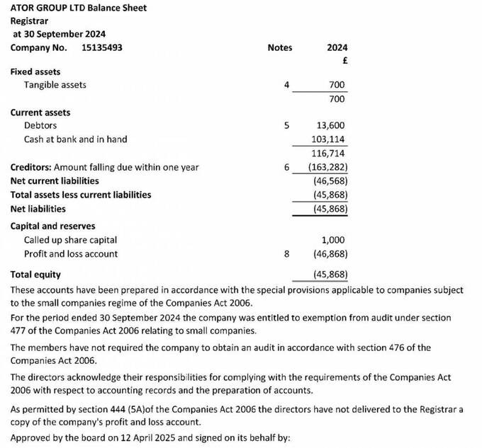Фінансова звітність Ator Group Ltd за 2024 рік